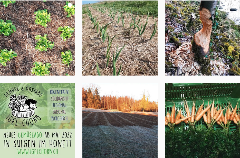 Der Kollektiv-Hof Waldeheim ist mit seiner regenerativen Landwirtschaft auf Instagram präsent